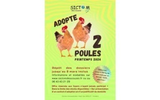 ADOPTE 2 POULES (719 x 304 px)