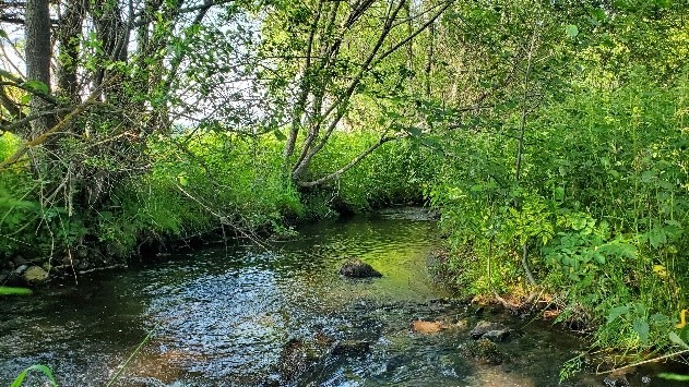 Image4