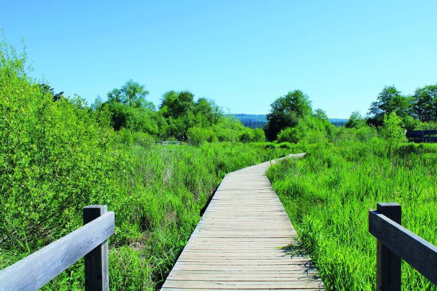 zone-humide-mondarverne-tourisme-scaled (1)