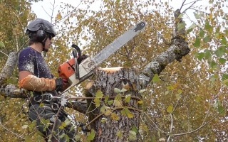 302137352_546453553945467_1209480976571498381_n