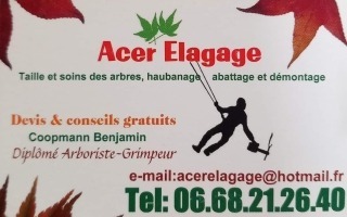 FB_IMG_1697572618570