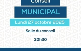 conseil municipal (2)