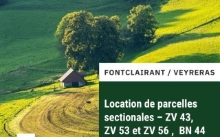 Parcelles sectionnales (3)