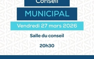 conseil municipal (6)