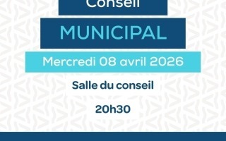 conseil municipal (8)