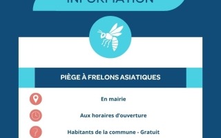 Piège à frelons (2)
