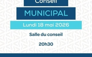 conseil municipal (13)