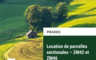 Parcelles sectionnales (5)