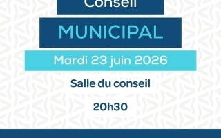 conseil municipal (14)